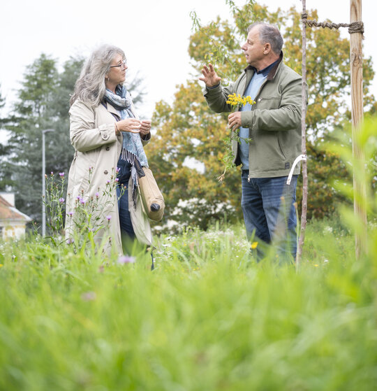 Zwei Menschen auf einer gr&uuml;nen Wiese