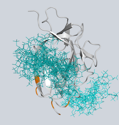 Molek&uuml;lstruktur von IL-1&alpha; in Bindung an verschiedene Glykosaminoglykan-Molek&uuml;le