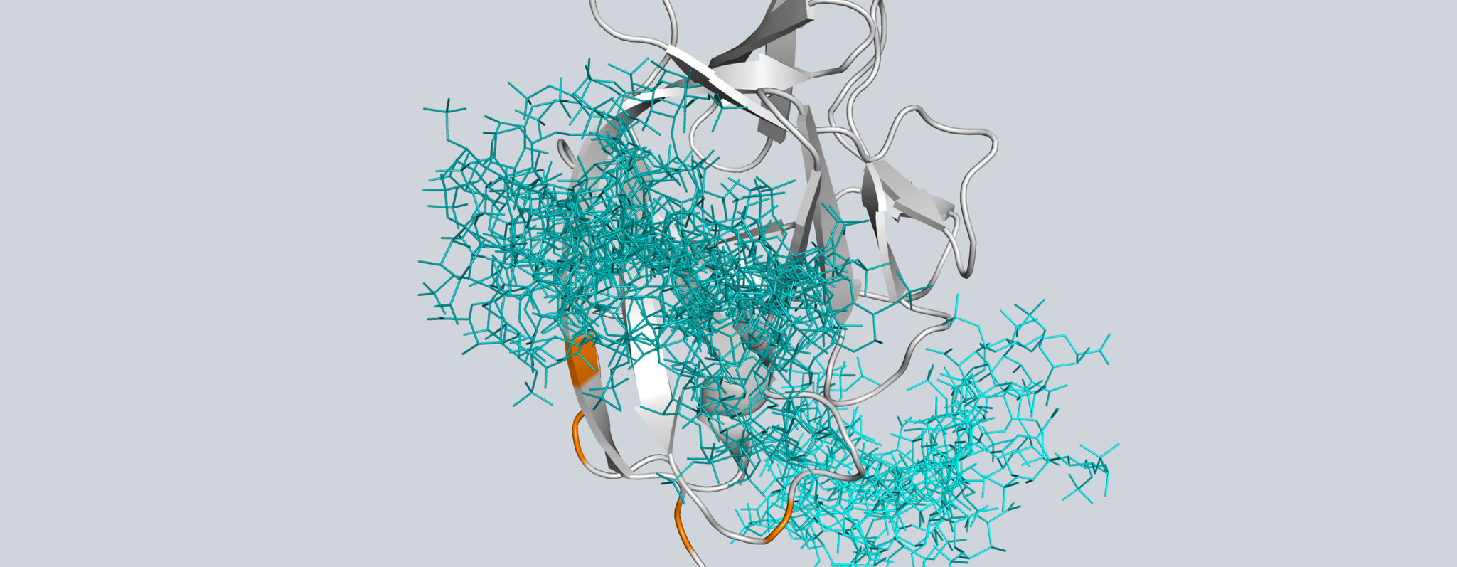 Molek&uuml;lstruktur von IL-1&alpha; in Bindung an verschiedene Glykosaminoglykan-Molek&uuml;le