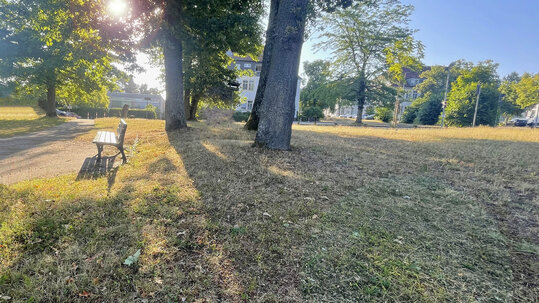 Park an der Augenklinik