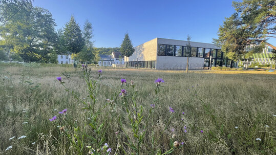 Garten beim Finanzdezernat