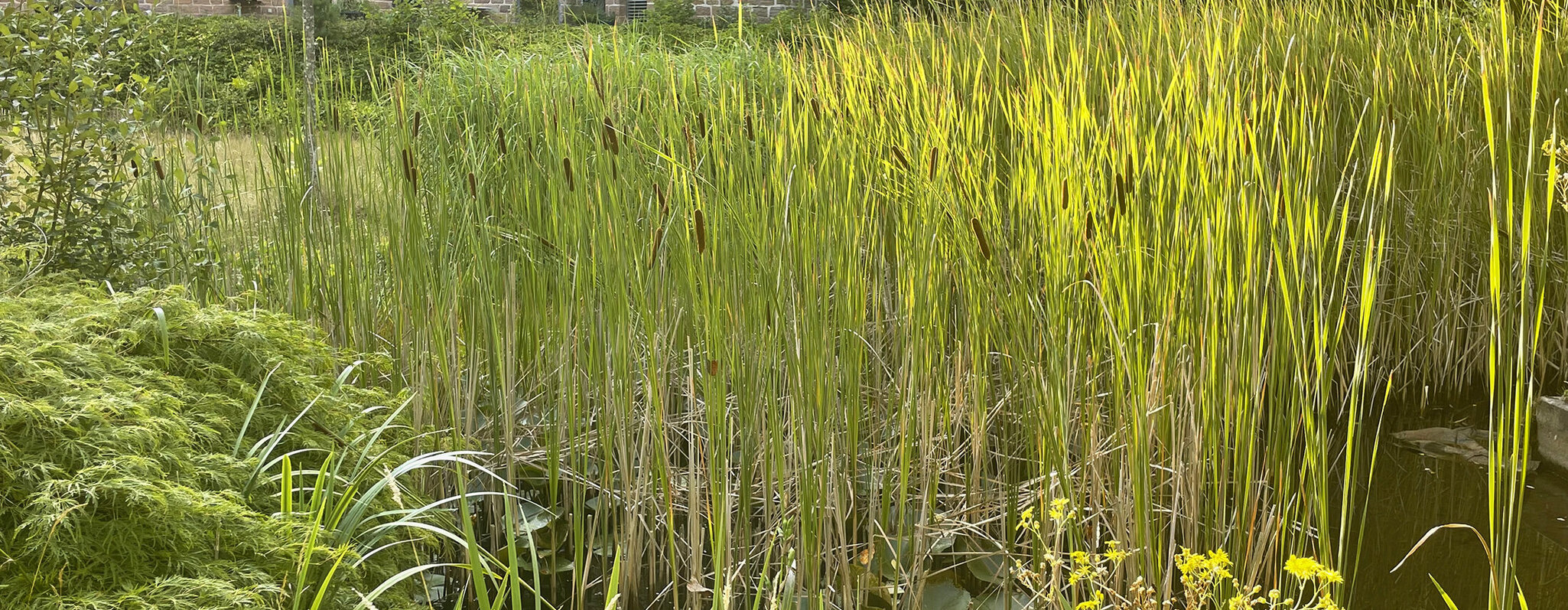 Garten an der Tgesklink