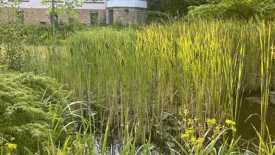 Garten an der Tgesklink