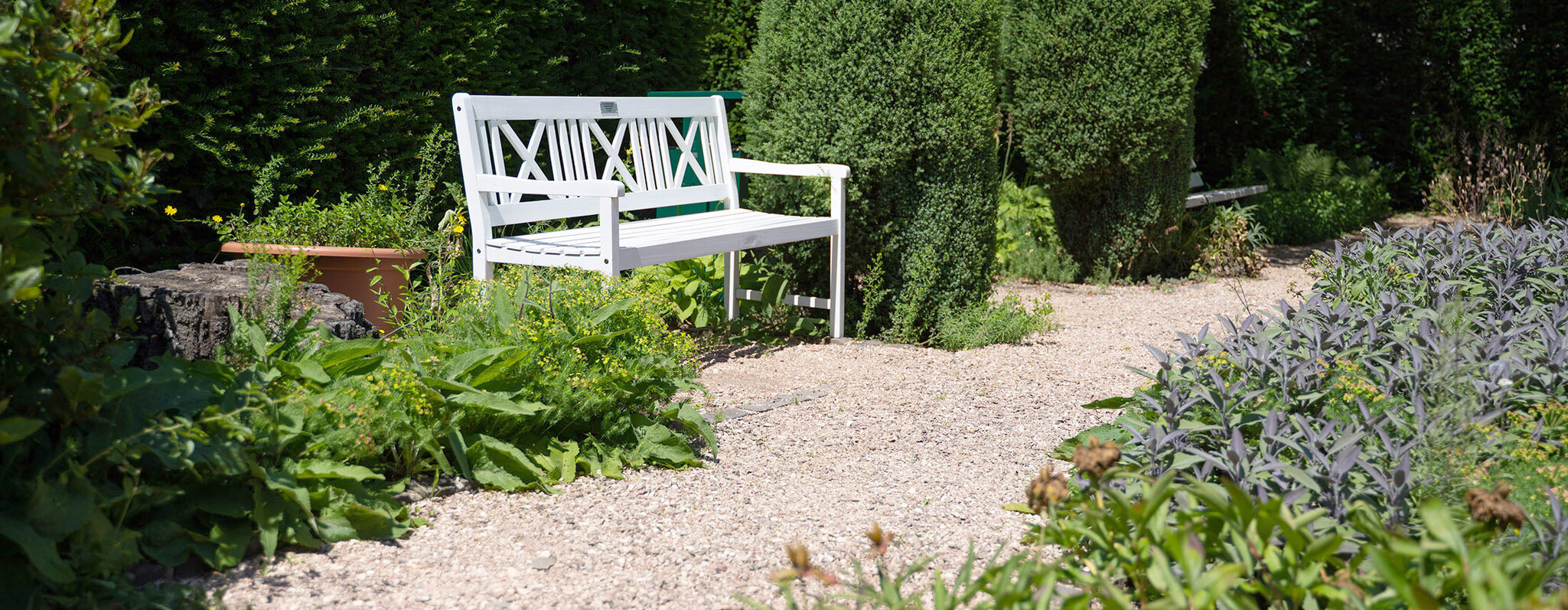 Campus im Gr&uuml;nen - Detailaufnahme der G&auml;rten