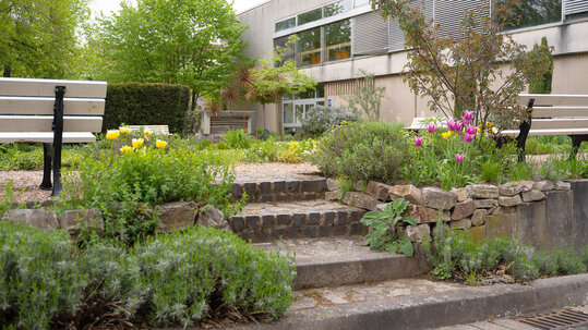 Campus im Gr&uuml;nen - Detailaufnahme der G&auml;rten