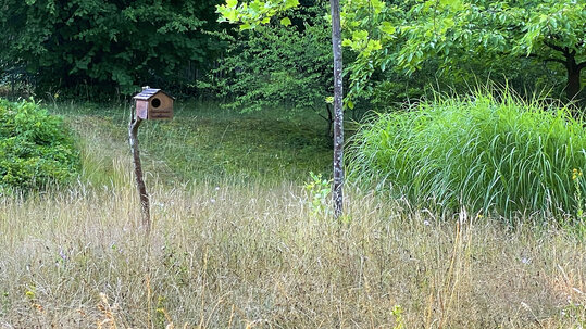 Garten an der Tgesklink