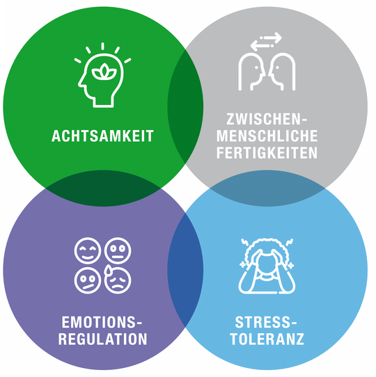Illustration der DBT-Skills-Bausteine: Achtsamkeit, Zwischenmenschliche Fertigkeiten, Emotionsregulation und Stresstoleranz