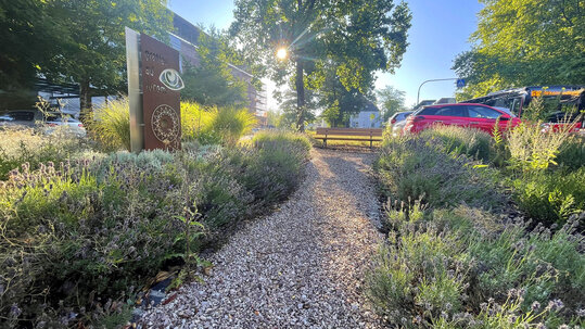 Staudenfeld Augenklinik