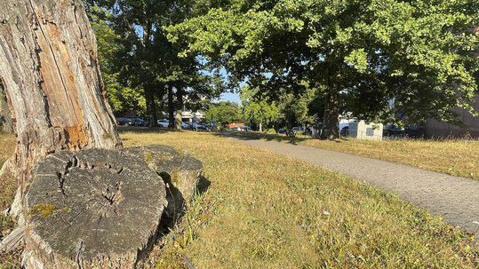 Park an der Augenklinik