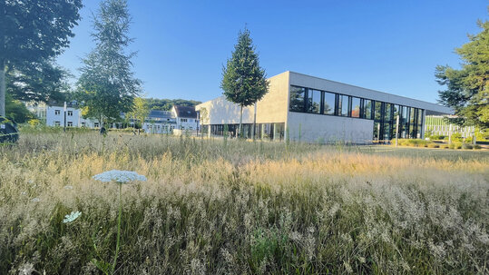 Garten beim Finanzdezernat