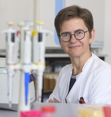 Prof. Dr. Martina Sester