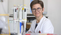 Prof. Dr. Martina Sester