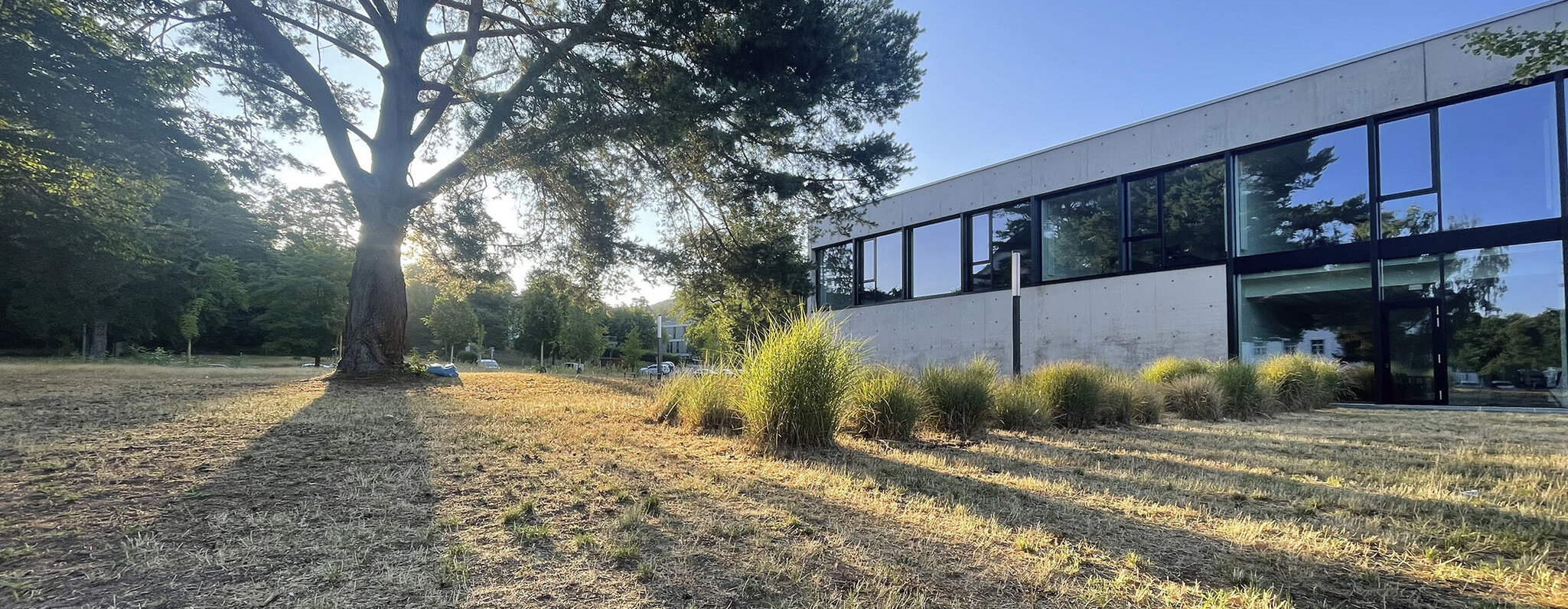 Garten beim Finanzdezernat