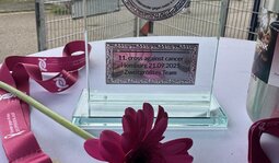 Cross against Cancer 2025