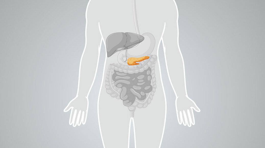Oragnabbildung Pankreas