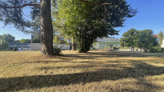 Garten beim Finanzdezernat