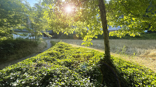 Garten an der Tgesklink