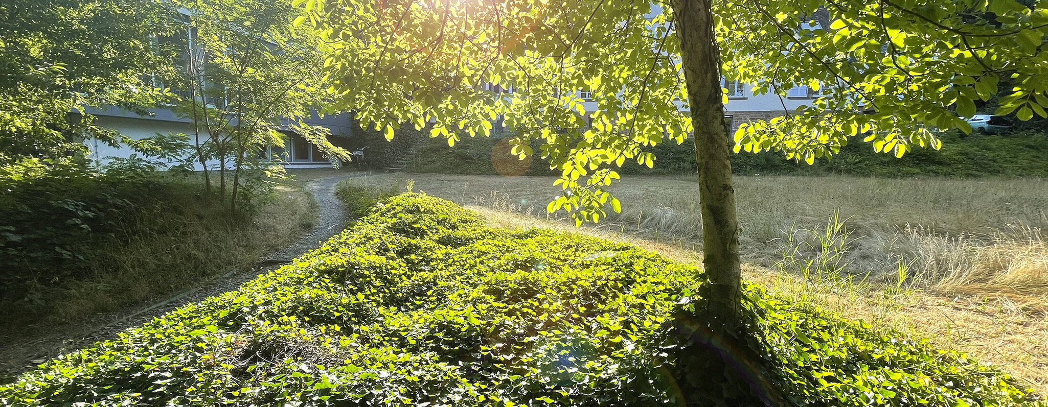 Garten an der Tgesklink