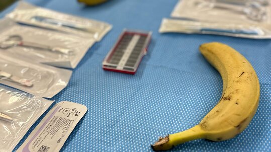 Ausbildungsmesse 2025