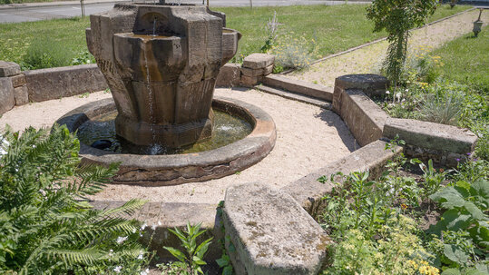 Campus im Gr&uuml;nen - Detailaufnahme der G&auml;rten